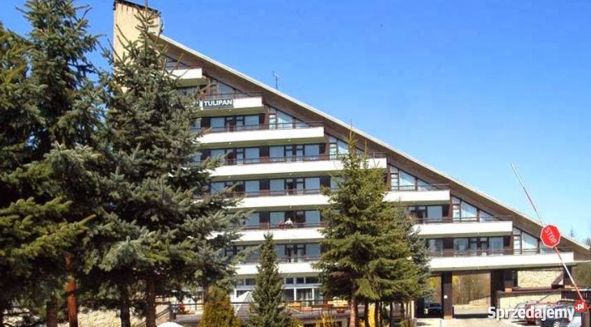 Dom Aktywnego Seniora TULIPAN