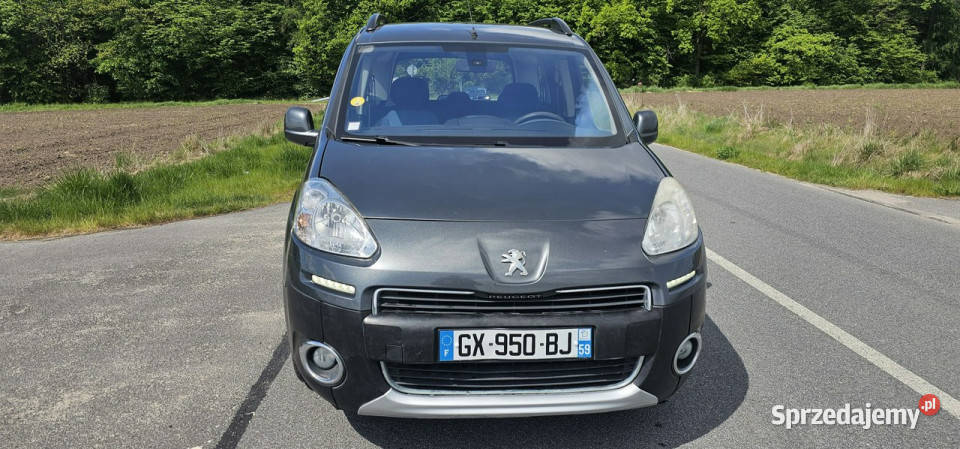 Peugeot Partner 16 Hdi 92 160 II 2008