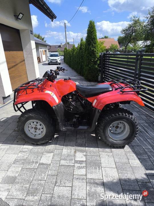 Quad Suzuki Eiger 4x4 automat Pilzno sprzedam