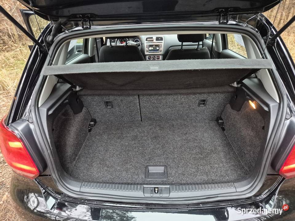 Volkswagen Polo BlueMotion 14 TDI 2015r nieuszkodzony Skierniewice