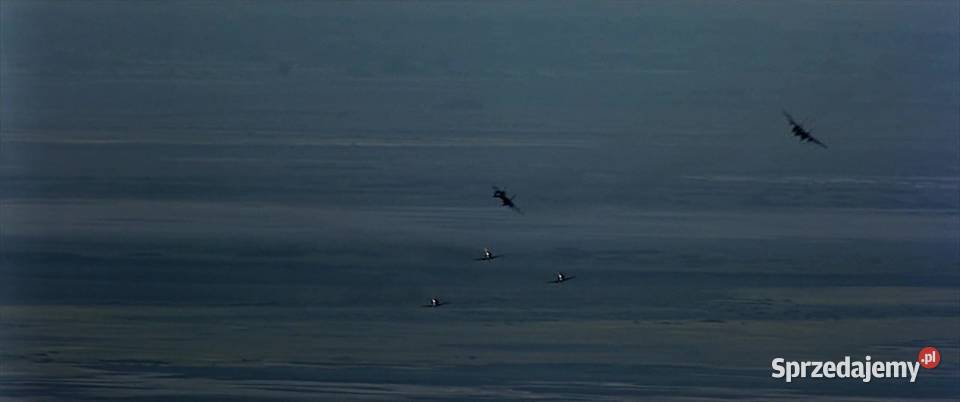 TOP GUN TOM CRUISE POLSKI LEKTOR Filmy wielkopolskie