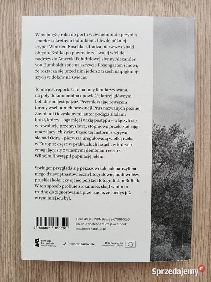 Mein Gott pięknie Filip Springer Poradniki, albumy i reportaże Kraków