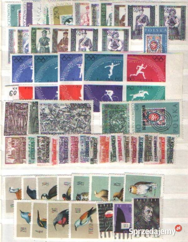 Zn Fi Rocznik 1960 Gliwice