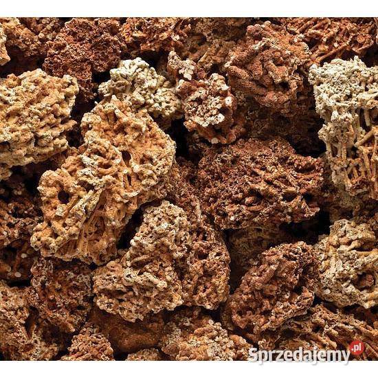 CZERWONY WAPIEŃ Kamień Skała do Akwarium Malawi mazowieckie Radom