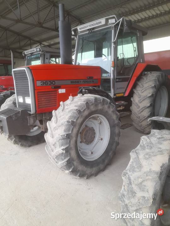 Massey Ferguson MF 3630 lubelskie Tokarówka
