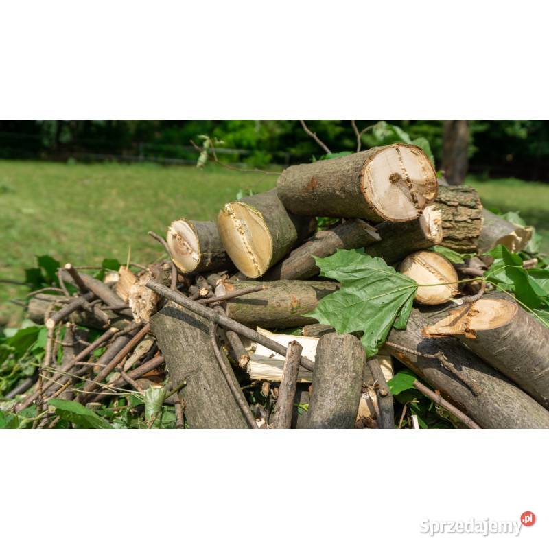 Rębak Spalinowy RS120 Silnik o mocy 15 WOM dolnośląskie Lubin