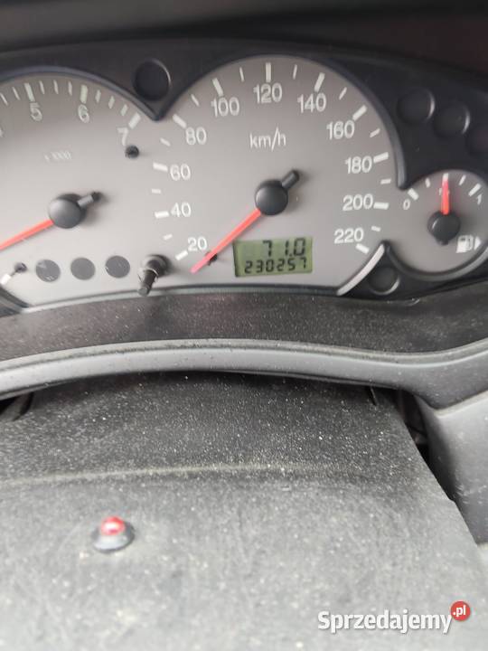 Sprawna Foczka małe pieniążki Focus Łask