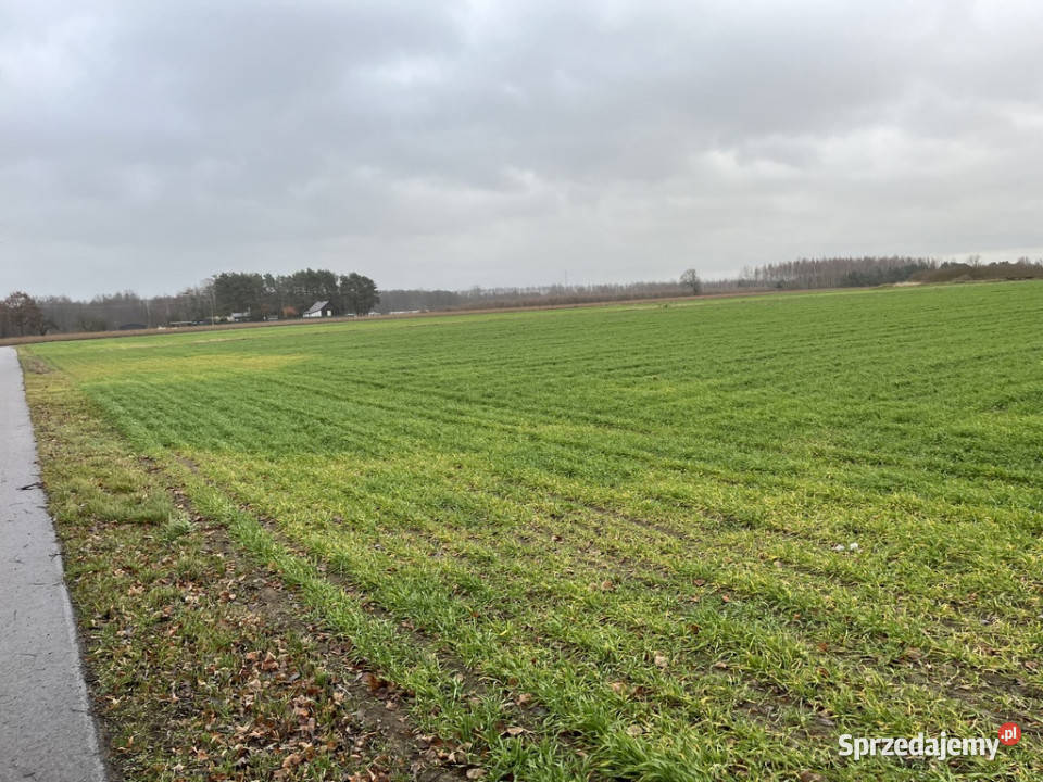 Dziełka z WZ budowlana w Babinie gm Przyłęk Babin