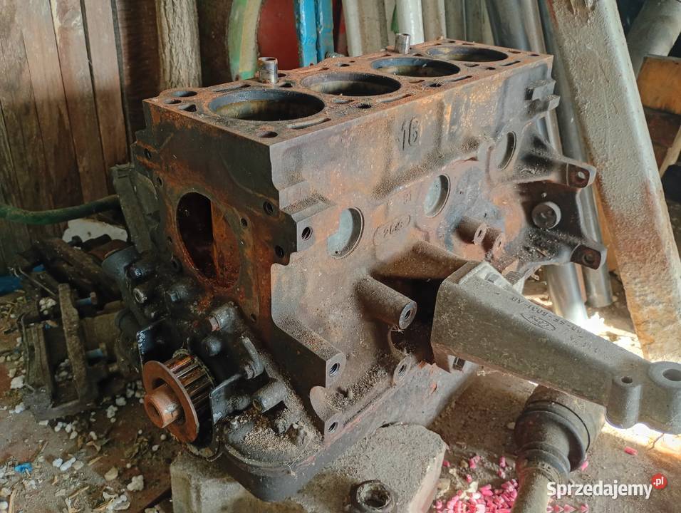 Blok silnika Ford 16 CVH Sierra świętokrzyskie Sandomierz