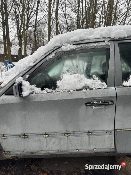 Drzwi kierowcy w124 Poraj