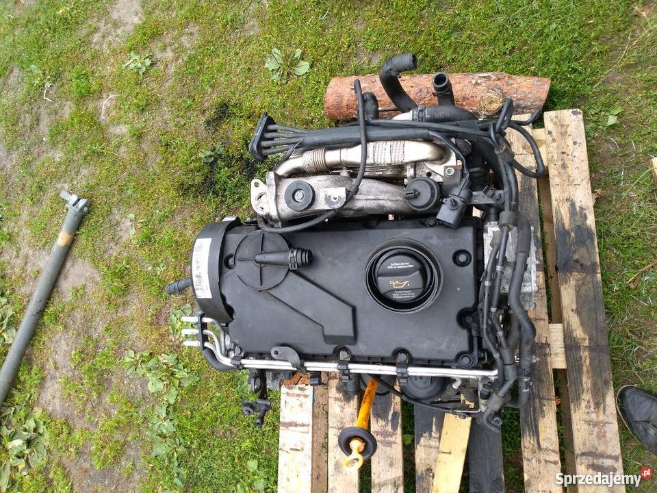 Silnik 19 tdi 105 Rok produkcji 2005 Żary