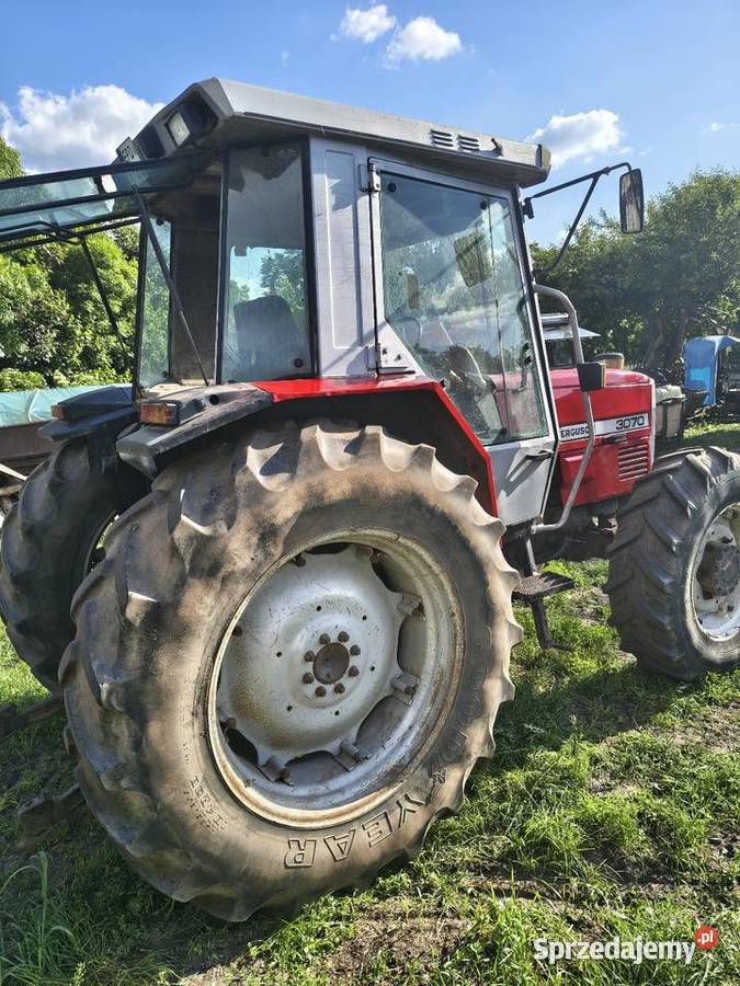 Massey Ferguson 3070 Uniejów
