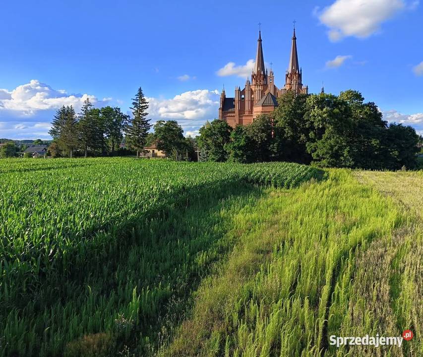 Działki budowlane Baranowo k Ostrołęki
