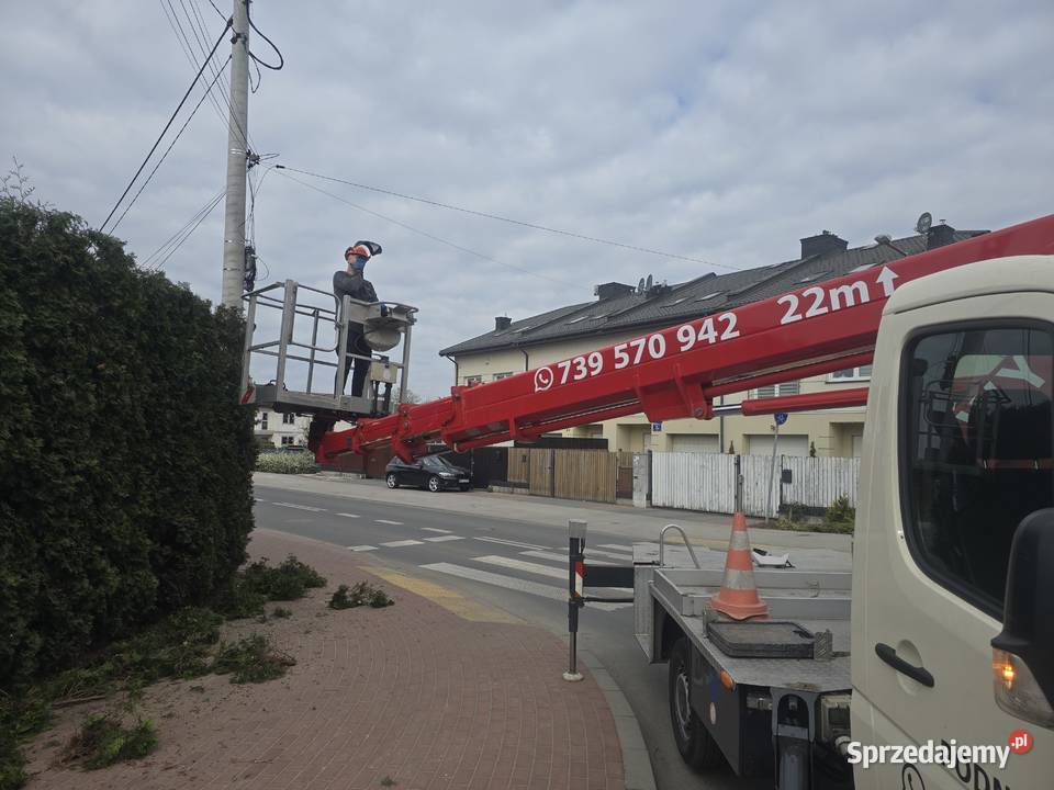 Wycinki drzew Płońsk pielęgnacja zieleni mazowieckie