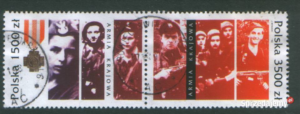 Zn Fi 3235657960568 kas 1992