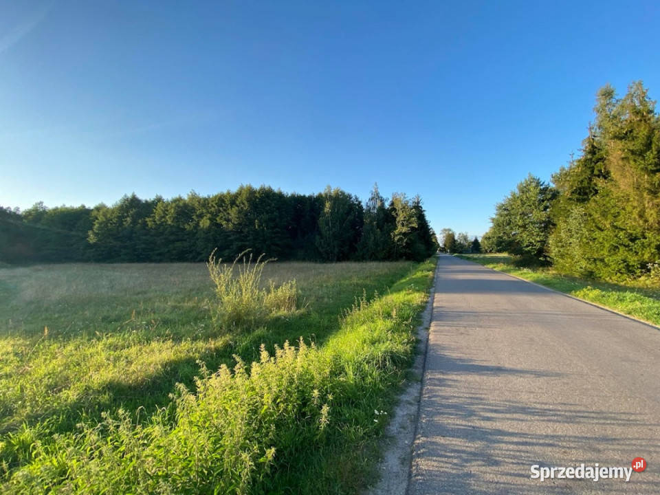 Okazja Działki rolnoleśne o powierzchni 3 ha Nasielsk