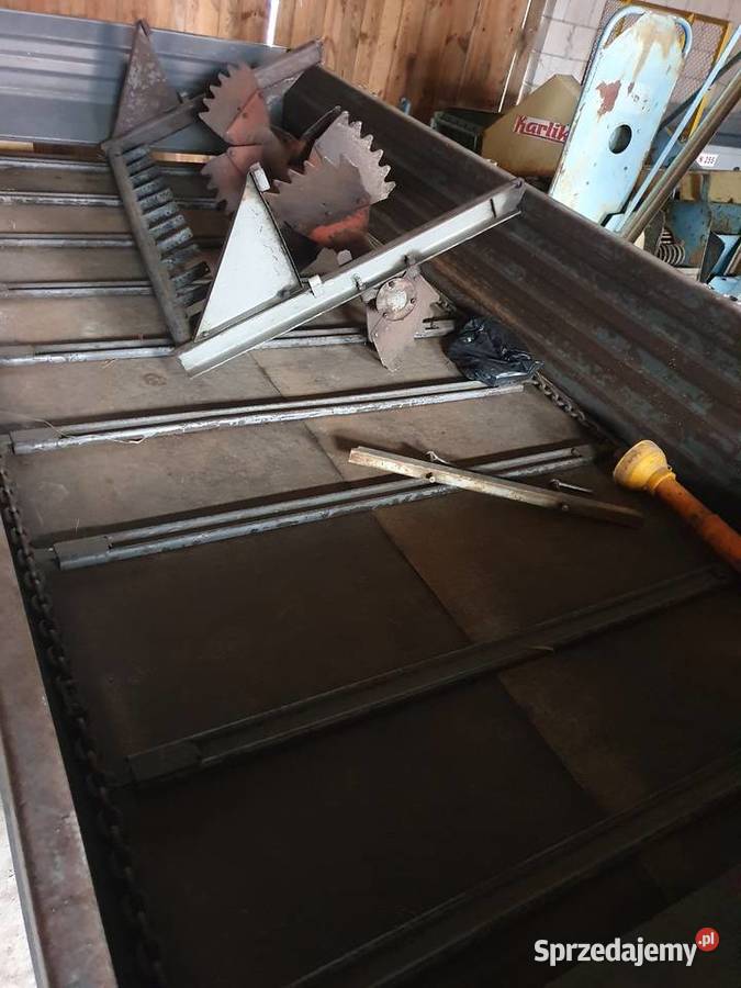 Rozrzutnik Czarna Białostocka Stam Budziska