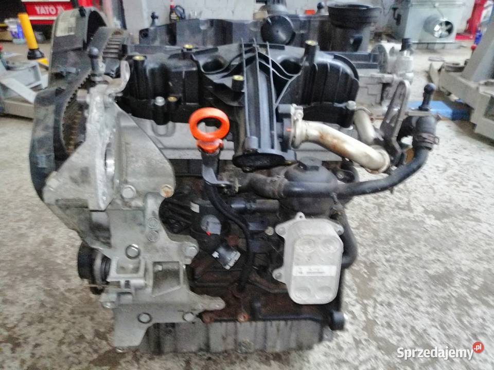 SILNIK KOMPLETNY CFH CFHC 20 TDI GOLF LEON YETI Bychawa