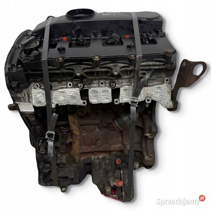 SILNIK QVFA Ford Transit VII MK7 22 TDCI 110 Chełm