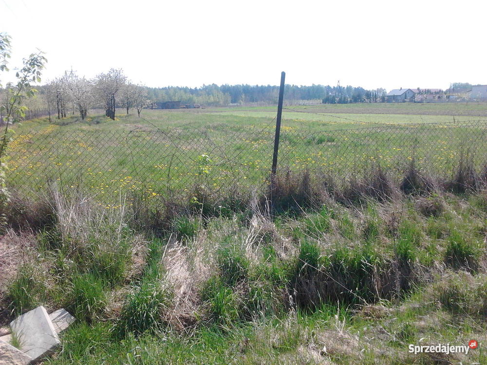 działkę mazowieckie Wola Chynowska