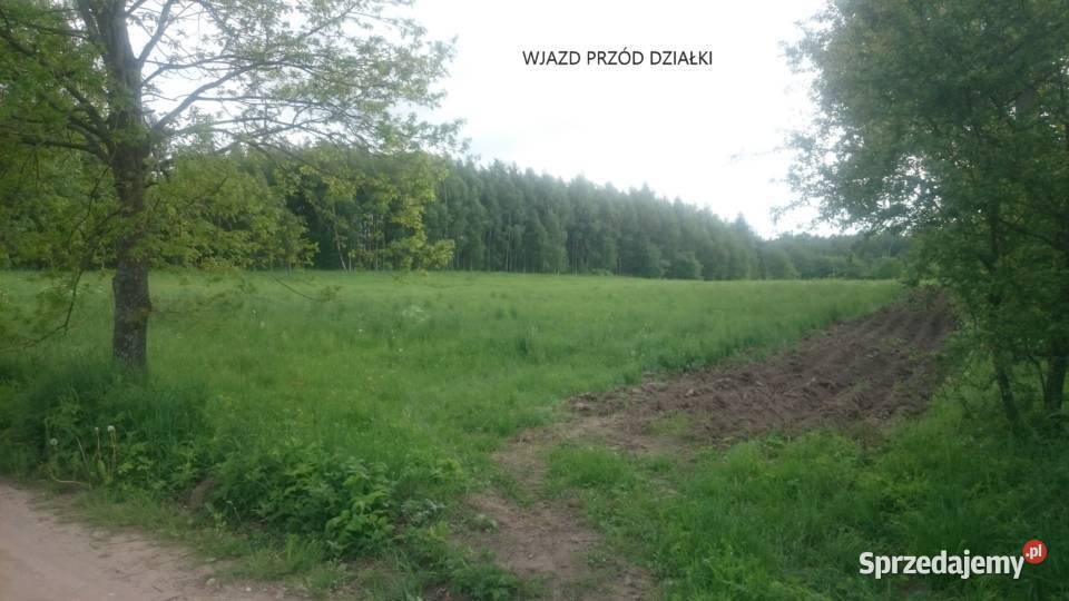Kompleks działek 84ha z 8 WZ na Warmii Krekole 190m