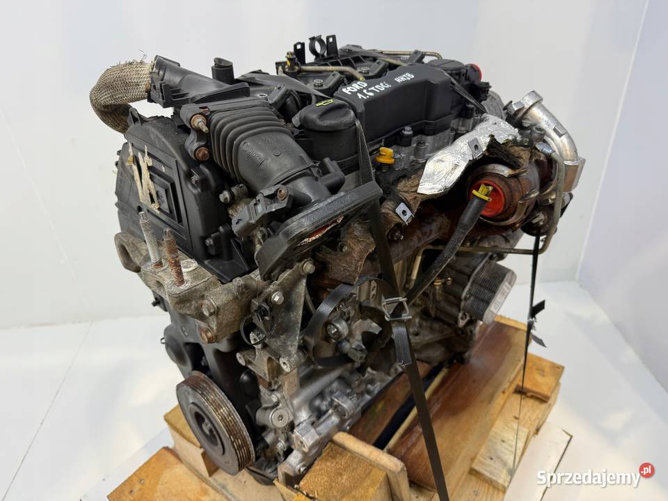 SILNIK KOMPLETNY HHJA HHJB Ford Fiesta VI MK6 16 osobowe Silniki kompletne Motoryzacja lubelskie
