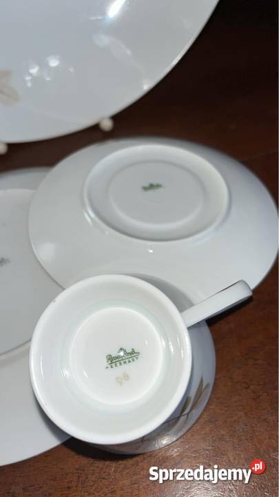 Filiżanka Seria Schattenrose Rosenthal Model Gdańsk