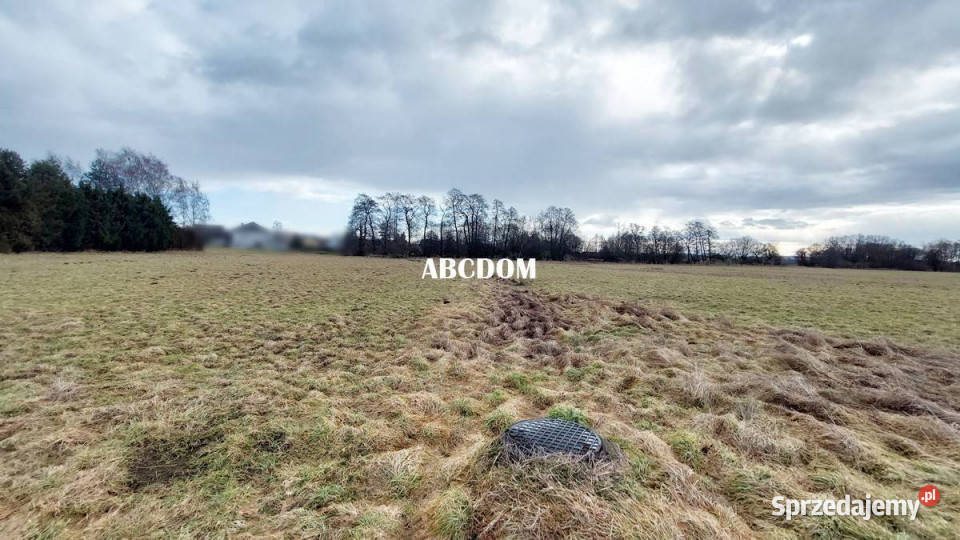 Cholerzyn działki budowlane 165 ara 496zł/m2