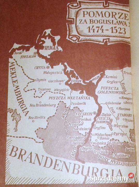 Czerwony sokół Ireneusz Gwidon Kamiński Rok wydania 1984 Pozostałe Chełm