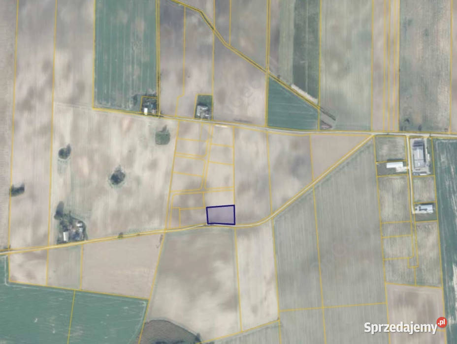 Działka 37214 w miejscowości Sękowo 3310m2 Sprzedaż