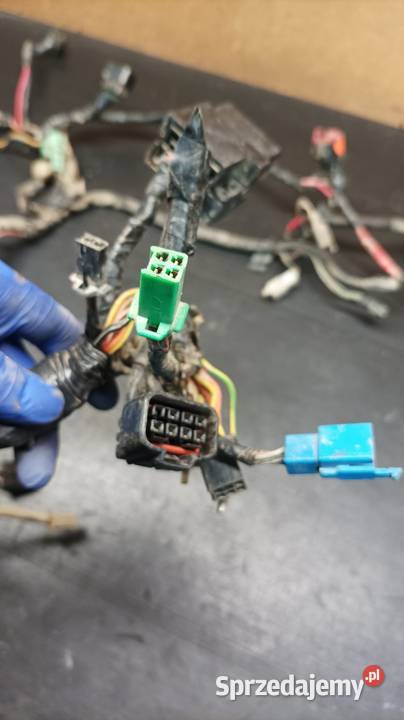 Instalacja elektryczna wiązka przewody części małopolskie Gołaczewy