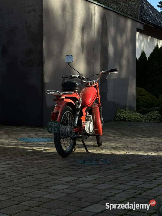 Komar Romet pomorskie