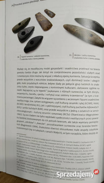 Przeszłość powiatu gliwickiego Vademecum sztuka, kultura i etnologia śląskie