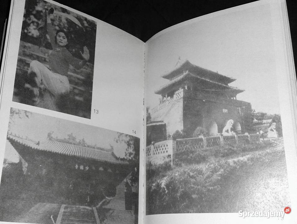 W kręgu złotego smoka Wiesław Olszewski miękka Chełm