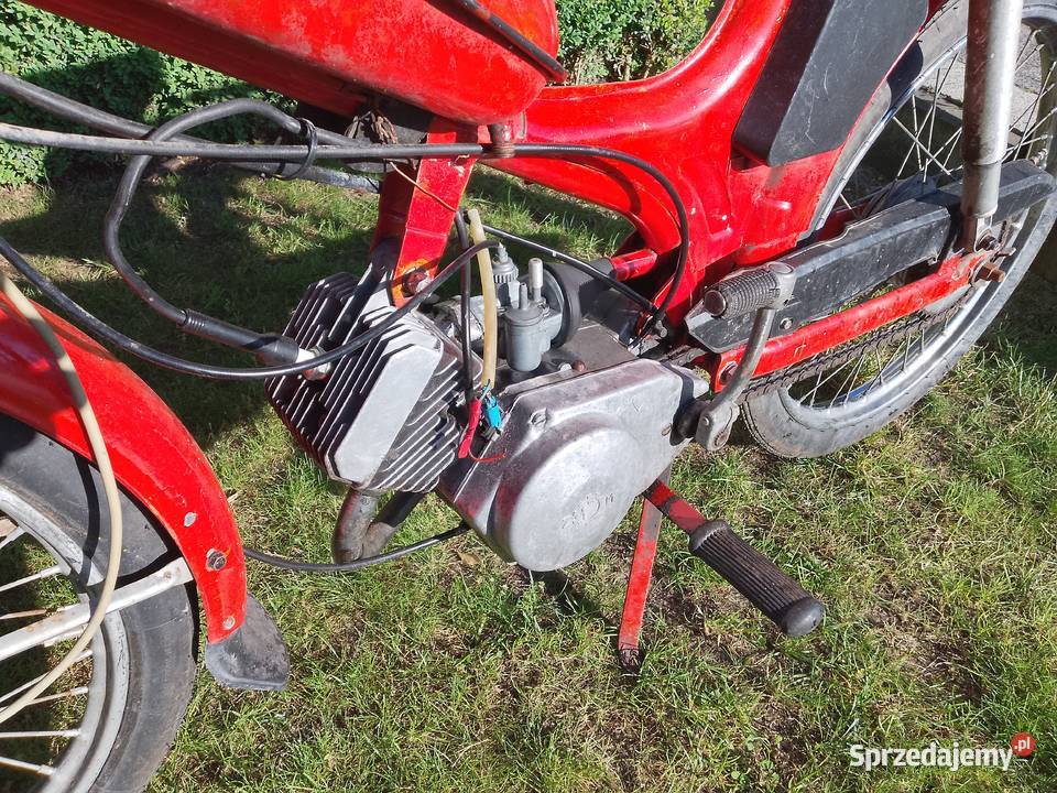 Komar 2352W Plewiska
