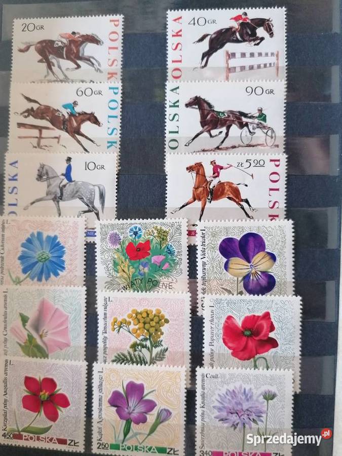 Album czerwony 2cz że znaczkami z lat 6079 Kraków