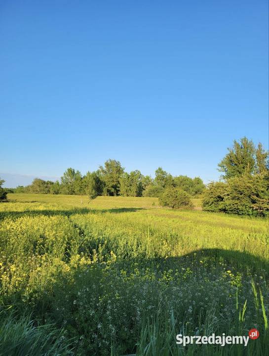 Działka na sprzedaż świętokrzyskie
