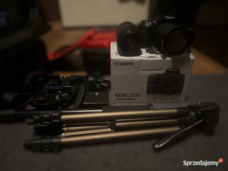 Aparat Canon EOS 250D Chrzanów