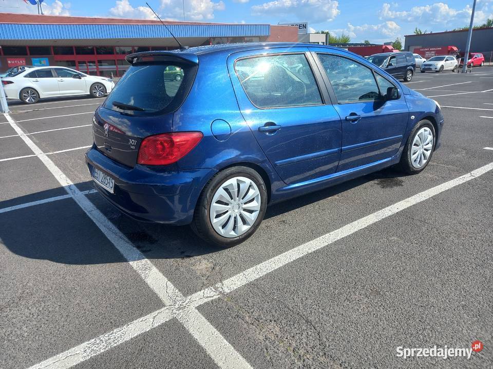Peugeot 307 2007 Sieradz