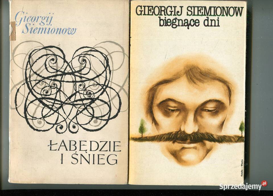 Łabędzie i śnieg Biegnące dni Gieorgij Siemionow zachodniopomorskie Szczecin