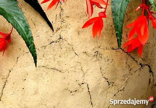 Sprzedam mrozoodporną donicę w stojaku kowala Pozostałe Jelenia Góra