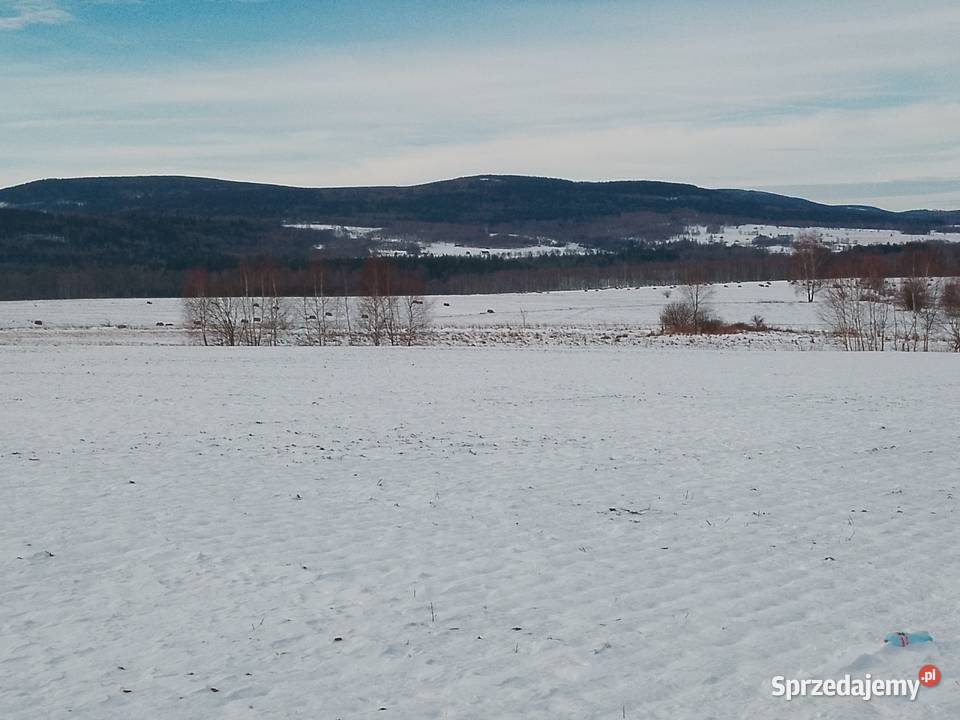 Mała Kamienica gmina Stara Kamienica powiat