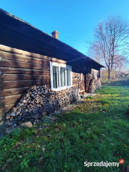 Siedlisko w lesie Sprzedaż podkarpackie