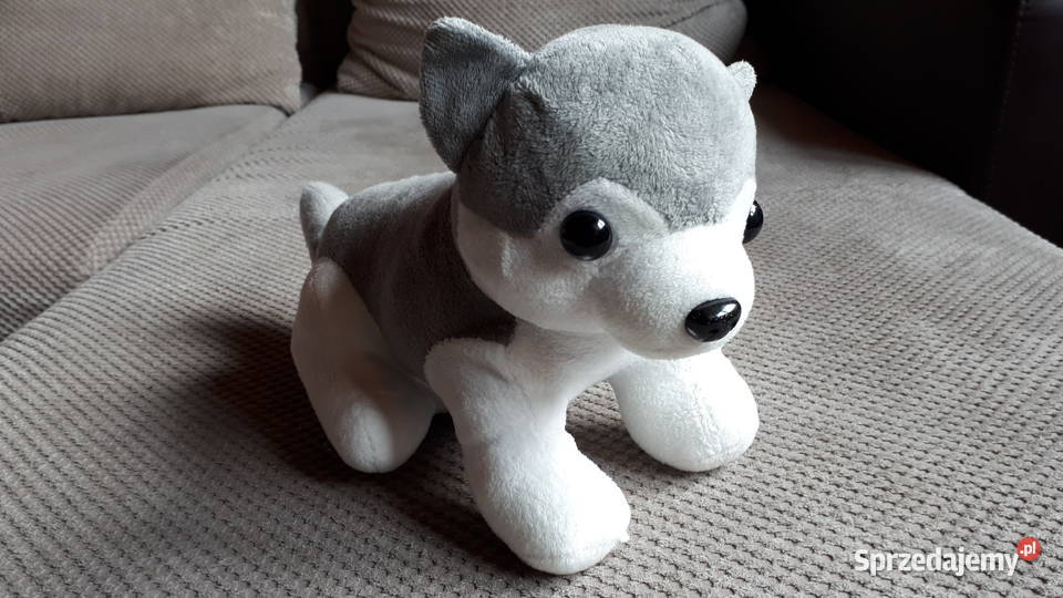 pluszowy piesek