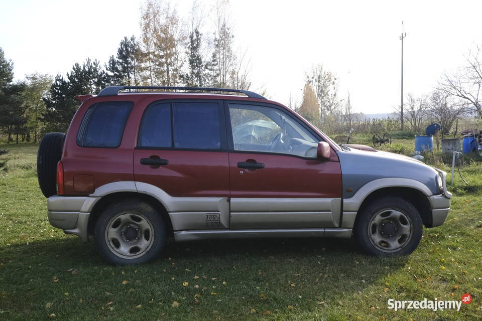 Suzuki Grand Vitara 20 HDI 2001 Brzózki