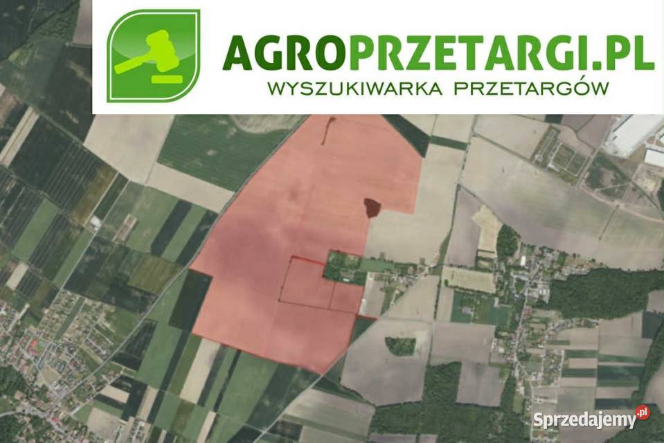 Dzierżawa 15345 ha gruntu rolnego dolnośląskie Wrocław