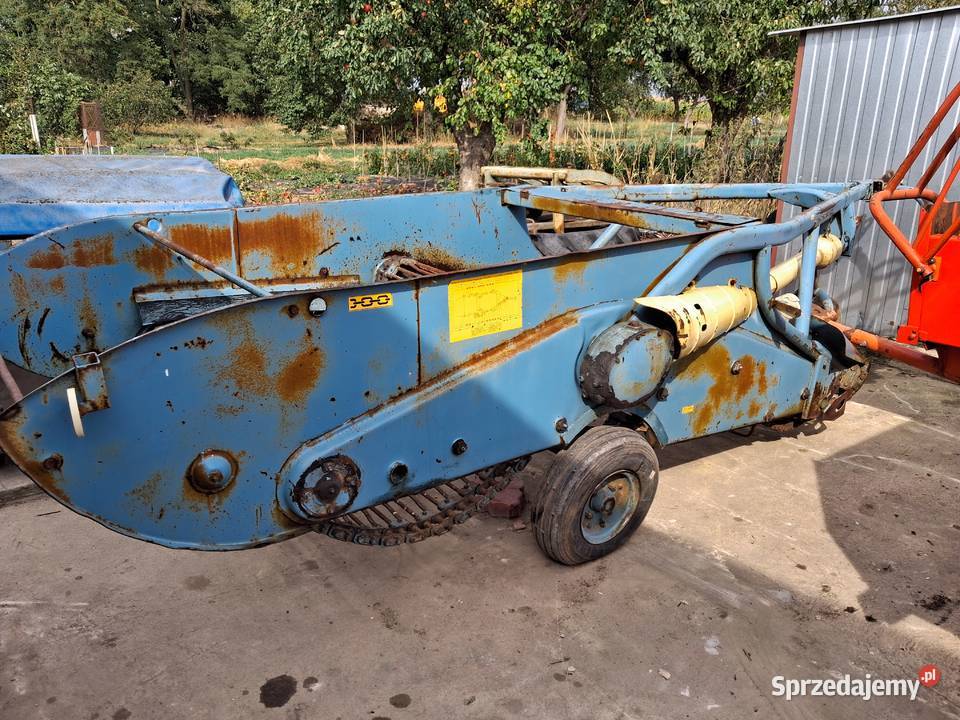 kopaczka elewatorowa