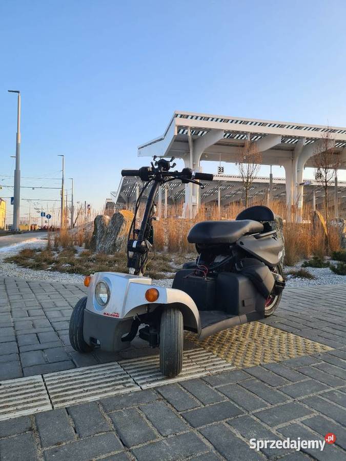 Skuter wózek inwalidzki zimowy wojownik quad - ATV