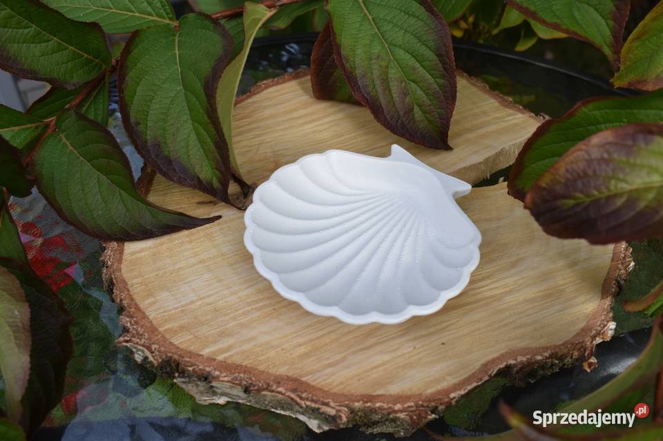 Muszelka betonowa Tłuszcz