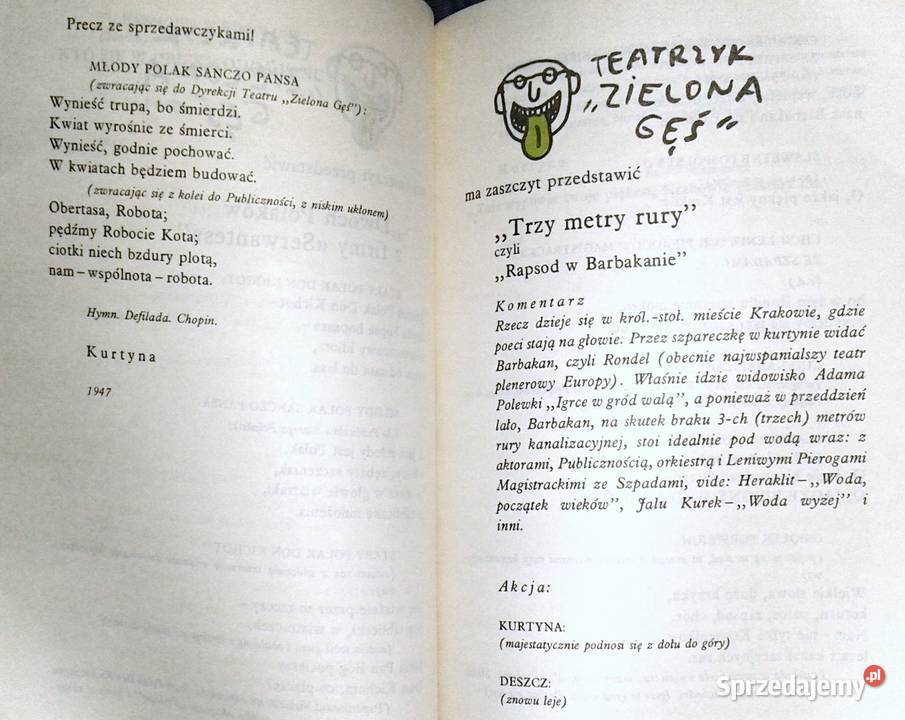 Zielona Gęś Konstanty Ildefons Gałczyński lubelskie Chełm